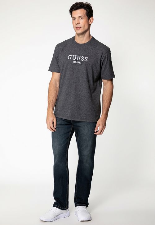 Camiseta Bordado Bicolor Cinza Escuro