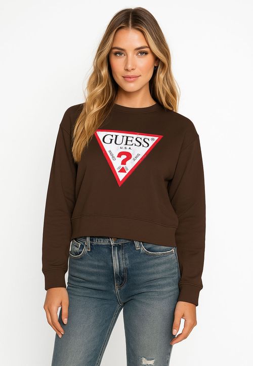 Blusa de Moletom Guess Triang Trad Desgastado Marrom